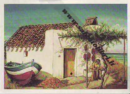 Immagine di CARTOLINA 11 X 16 QUADRO G. SCANDEREBECH - PESCATORE DEL SALENTO