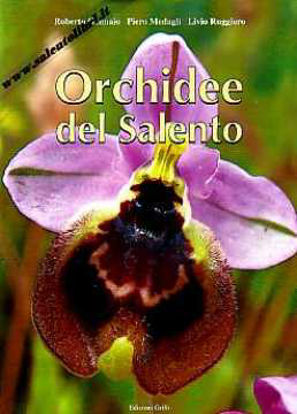 Immagine di Orchidee del Salento
