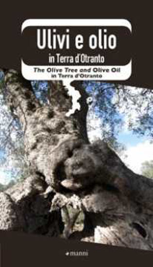 Immagine di Ulivi e olio in Terra d’Otranto