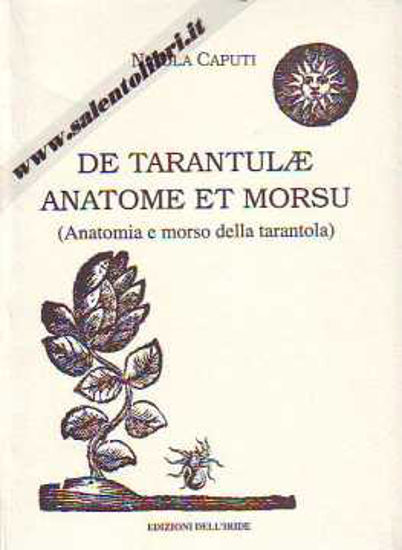Immagine di De Tarantulae Anatome et Morsu - Anatomia e morso della tarantola