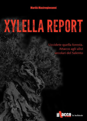 Immagine di Xylella report. Uccidete quella foresta. Attacco agli ulivi secolari del Salento