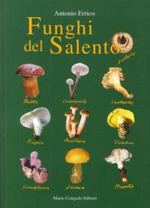 Immagine di Funghi del Salento