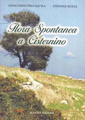 Immagine di Flora spontanea a Cisternino