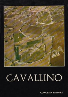 Immagine di Cavallino. Scavi e ricerche (1964-1967)