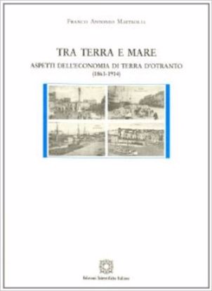 Immagine di TRA TERRA E MARE. ASPETTI DELL`ECONOMIA DI TERRA D`OTRANTO (1861 - 1914)