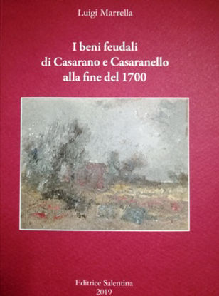 Immagine di I BENI FEUDALI DI CASARANO E CASARANELLO ALLA FINE DEL 1700