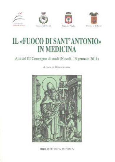 Immagine di IL FUOCO DI SANT`ANTONIO IN MEDICINA. ATTI DEL 3° CONVEGNO DI STUDI (NOVOLI, 15 GENNAIO 2011)