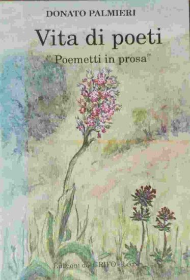 Immagine di VITA DI POETI, "POEMETTI IN PROSA"