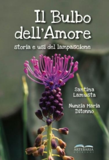 Immagine di BULBO DELL`AMORE. STORIA E USI DEL LAMPASCIONE (IL)