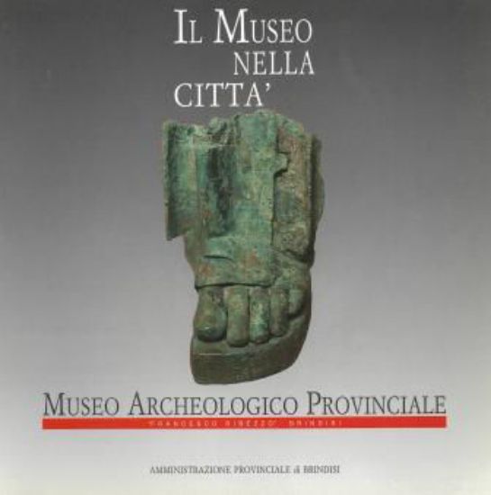 Immagine di IL MUSEO NELLA CITTA`